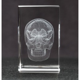 Skull and Brain Crystal Art front view