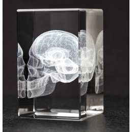 Skull and Brain Crystal Art diagonal view