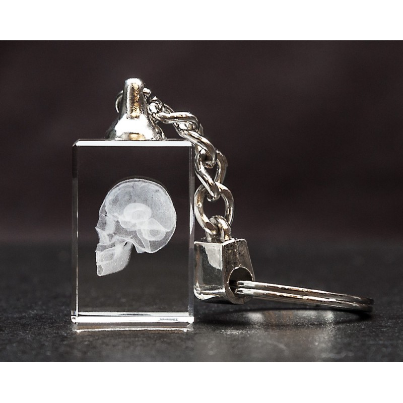 Skull and Brain Crystal Key Chain front view