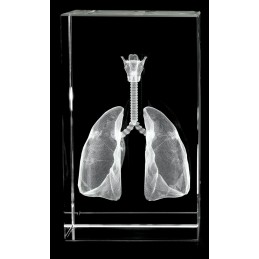 Lungs with Larynx Crystal Art
