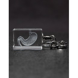 Stomach Crystal Key Chain front view