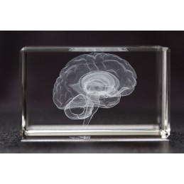 Brain Crystal 1lb front view