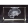 Brain Crystal 1lb front view