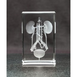 Kidney and Bladder Crystal Art front view