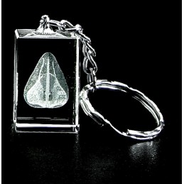 Nose Crystal Key Chain