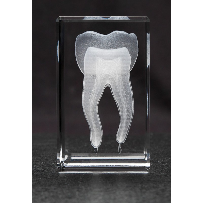Tooth Crystal 1lb Front View
