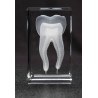 Tooth Crystal 1lb Front View