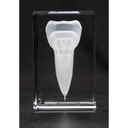 Tooth Crystal 1lb Side View
