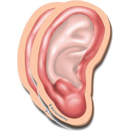 Outer Ear Stick Note