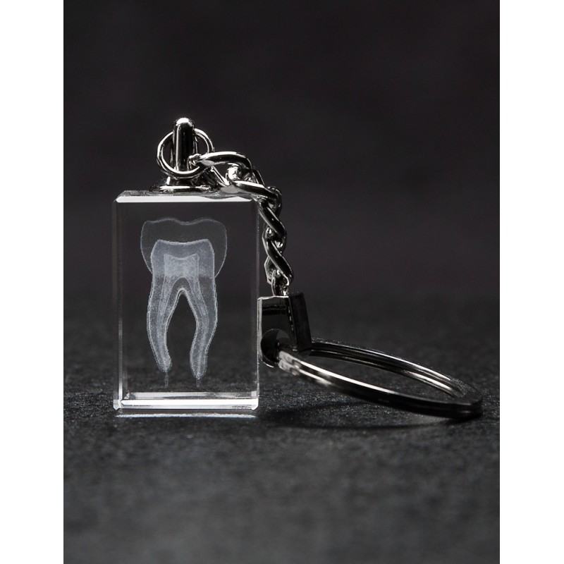 Tooth Crystal Key Chain Front View