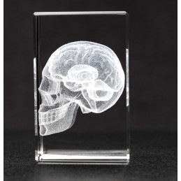 Skull and Brain Crystal Art side view