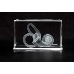 Cochlea Extra Large Crystal Art