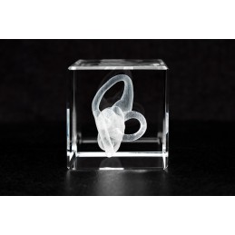 Cochlea Crystal Art 1lb end view