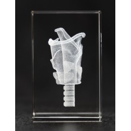 Larynx Crystal Art 1lb side view