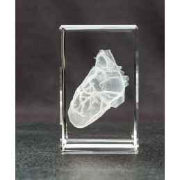 Heart Crystal Art 1lb right view