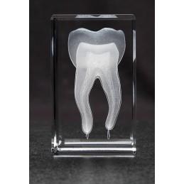 Tooth Extra Large Crystal Art