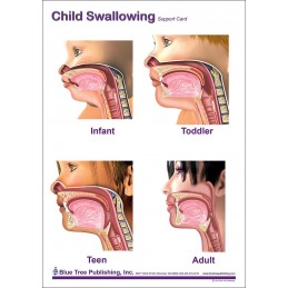 Child Swallowing Anatomical Chart front