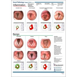 Vocal Pathology I Anatomical Chart back