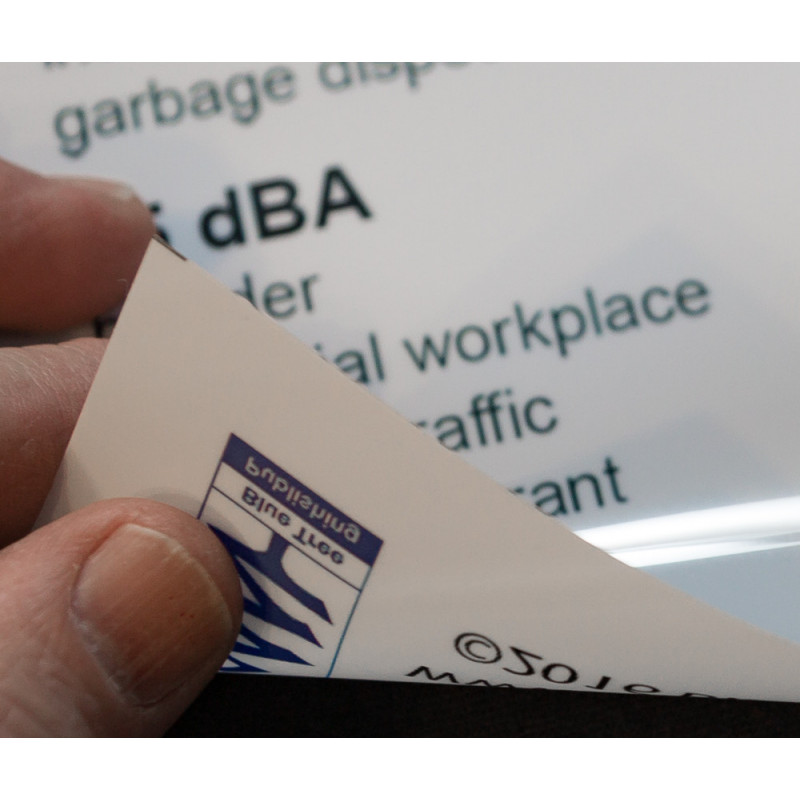 Vocal Pathology I Anatomical Chart