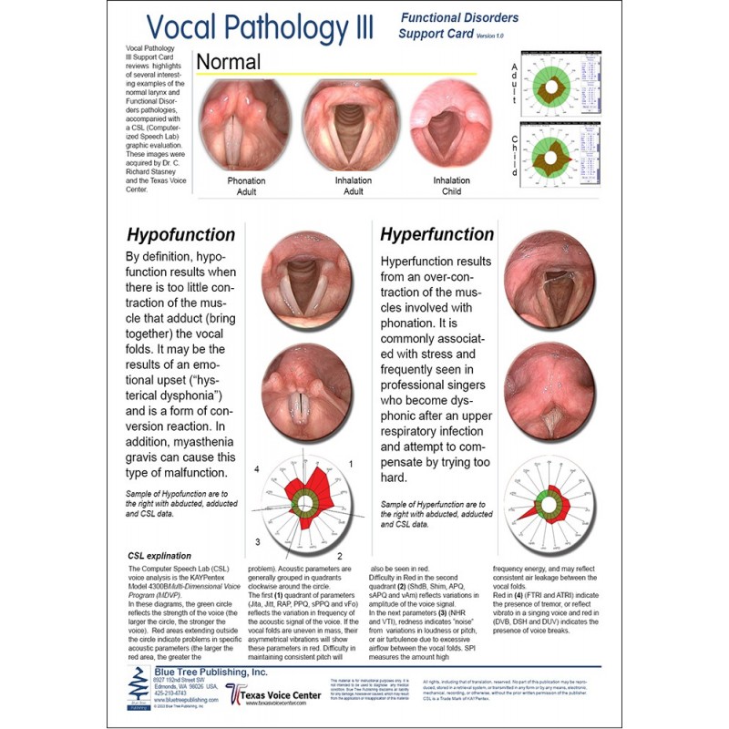 Vocal Pathology III Anatomical Chart front
