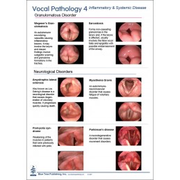 Vocal Pathology IV Anatomical Chart card 2, back
