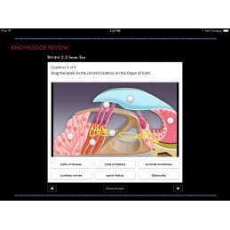 Ear ID iBook Knowledge Review