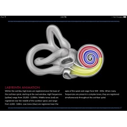 Ear ID iBook Cochlea Animation