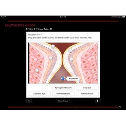 Larynx and Vocal Folds ID iBook chapter review