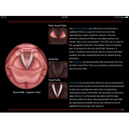 Larynx and Vocal Folds ID iBook vocal folds parts