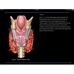 Larynx and Vocal Folds ID iBook thyroid view