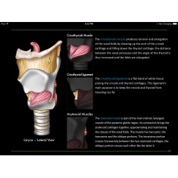 Larynx and Vocal Folds ID iBook larynx lateral view