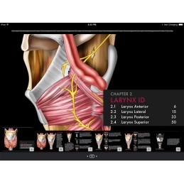 Larynx and Vocal Folds ID iBook thumbnail navigate