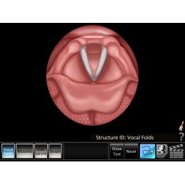 Vocal Folds ID Mobile App vocal folds id