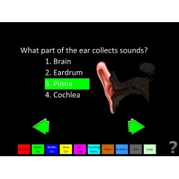 Hearing Anatomy Health Fair Mobile App quiz