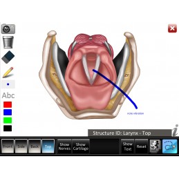 Larynx ID Mobile App drawing feature