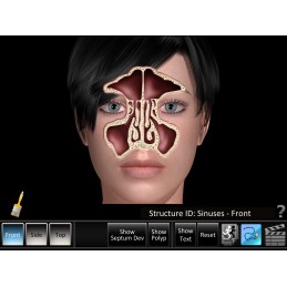 Sinus ID Mobile App front sinus