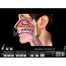 Speech Articulation - Affricatives/Stops Mobile App anatomy wave animation