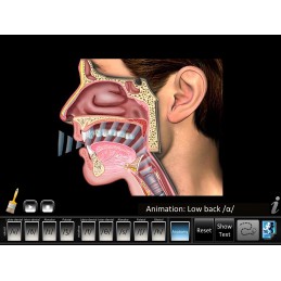 Speech Articulation - Fricatives Mobile App anatomy wave animation