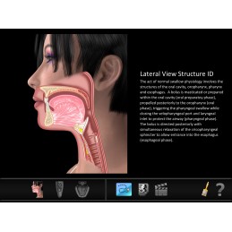 Swallow ID Mobile App lateral structural id