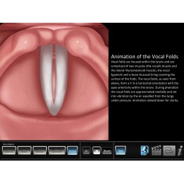 Vocal Pathology - Neurological Mobile App normal vibration animation