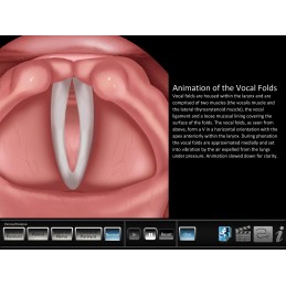 Vocal Pathology - Paresis/Paralysis Mobile App normal vibration animation