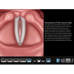 Vocal Pathology - Polyps Mobile App normal vibration animation
