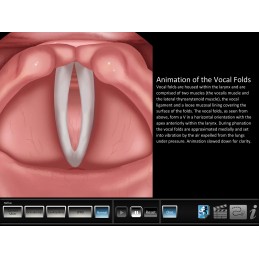 Vocal Pathology - Reflux Mobile App vibration animation