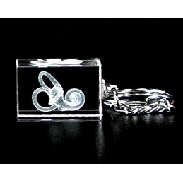 Hearing Gift Box Set 01 cochlea crystal key chain