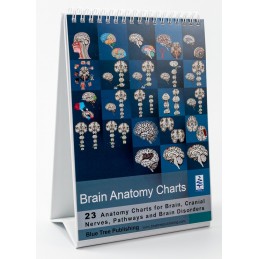 Brain Anatomy Flip Charts standing