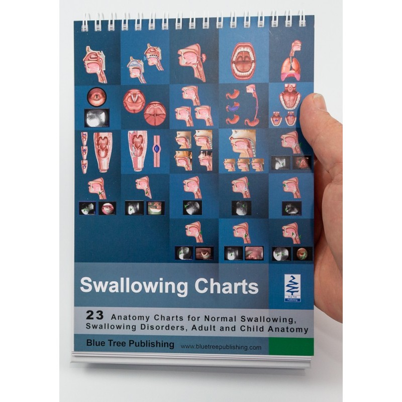 Swallowing Anatomy Flip Charts