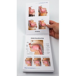 Swallowing Anatomy Flip Charts example of contents