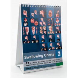 Swallowing Anatomy Flip Charts standing