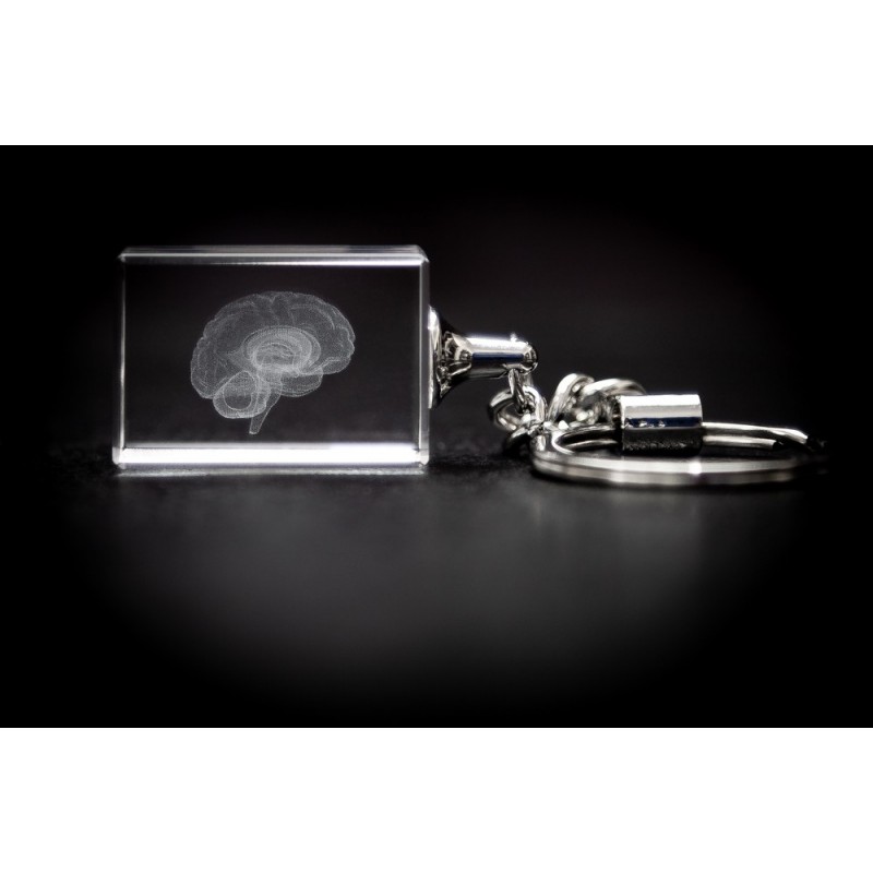 Brain Crystal Key Chain front view