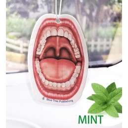 Mouth Air Freshener mint smell